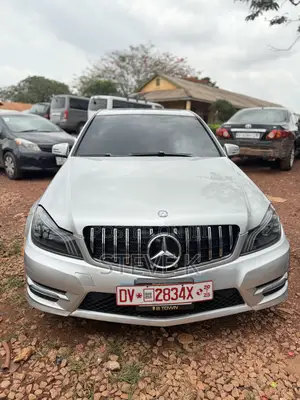 Mercedes-Benz C250 2014 Silver
