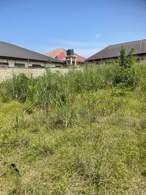 Donyina Land