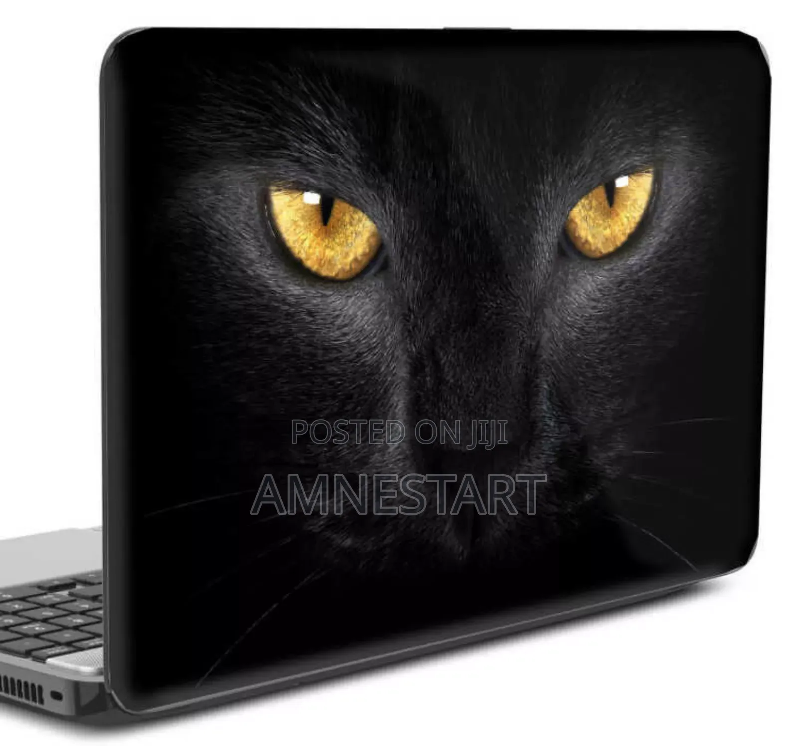 Laptop Skin/Sticker