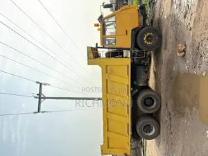 Used Shacman Truck With Good Engine and Condition