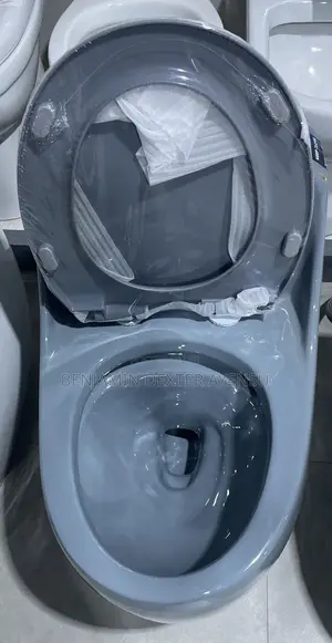 Ergonomic Wc