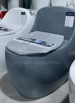 Ergonomic Wc