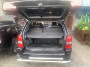 Hyundai Tucson 2009 Brown