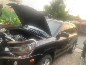 Hyundai Tucson 2009 Brown