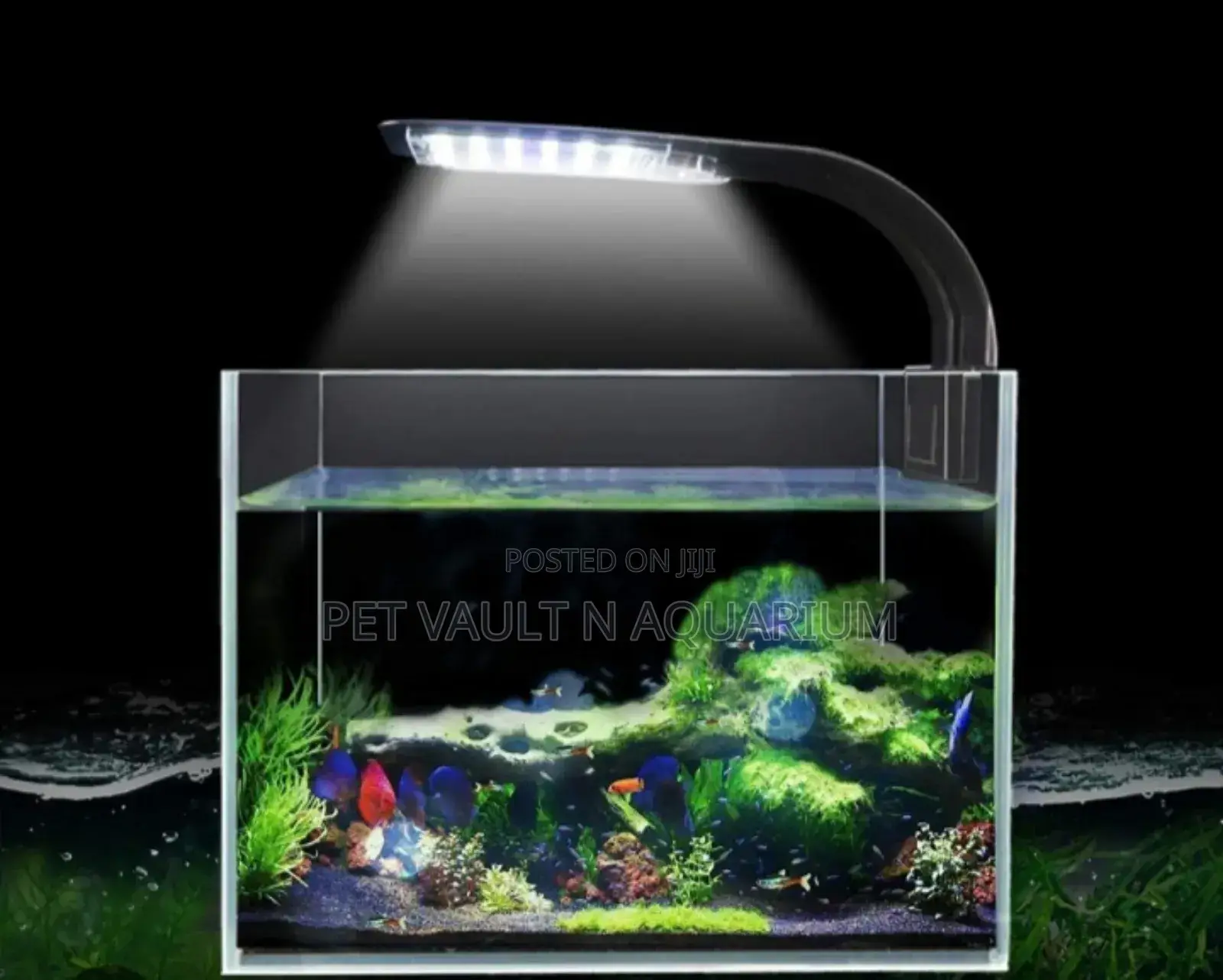 Led Light for Aquarium