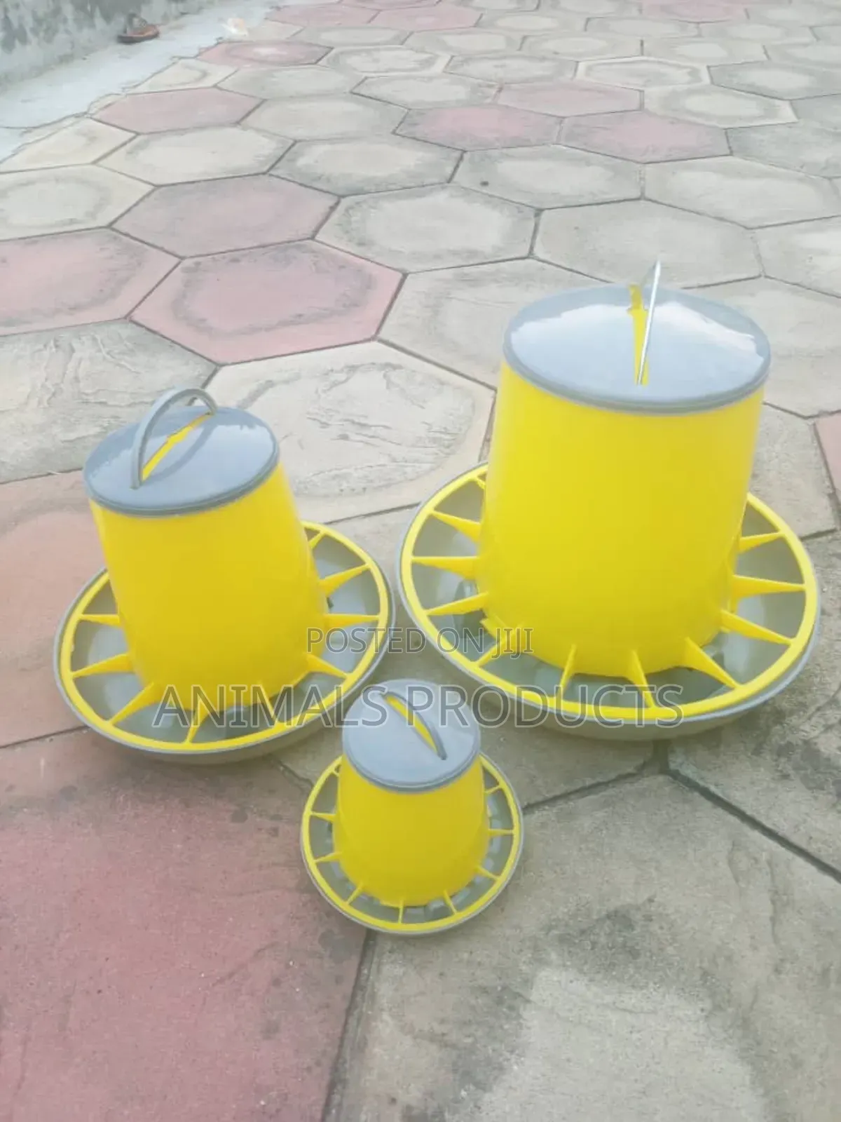 Poultry Drinkers And Feeders