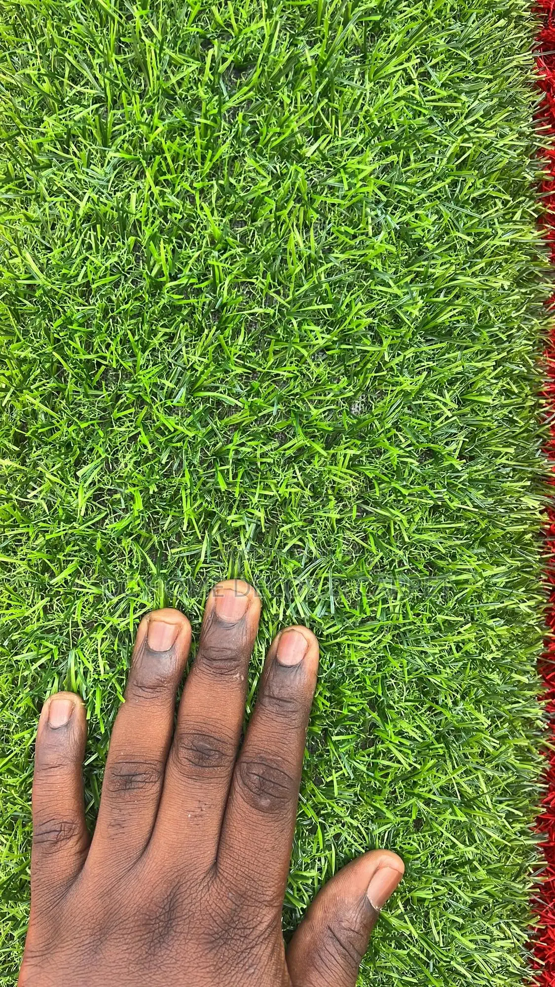 Artificial Grass Carpet