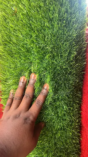 Artificial Grass Carpet