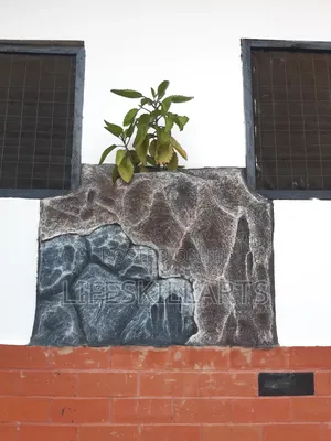Decorated Flowerpot on Wall