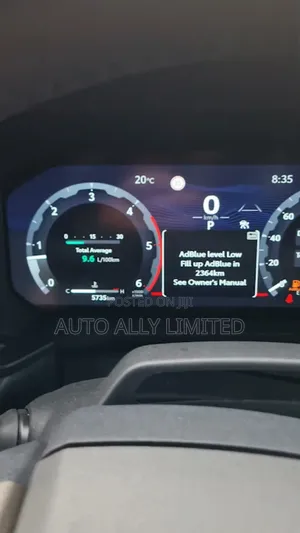 Adblue, Egr DPF Delete Service