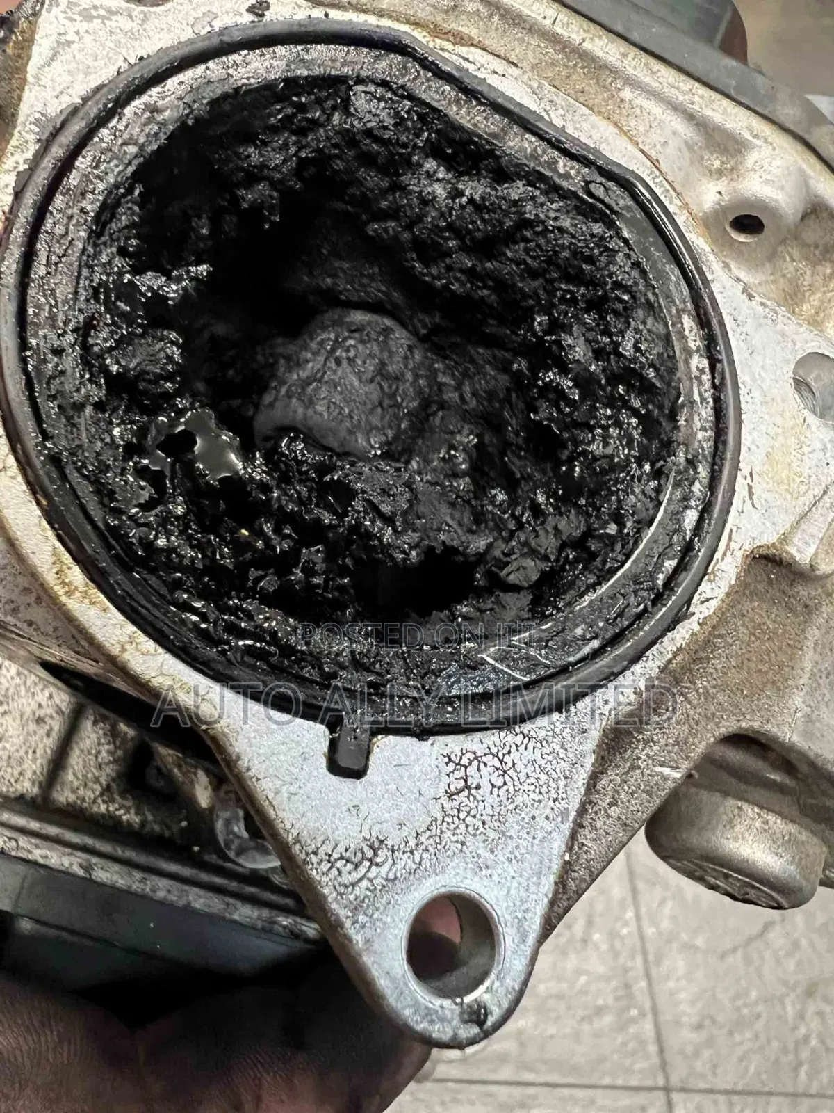 Adblue, Egr DPF Delete Service