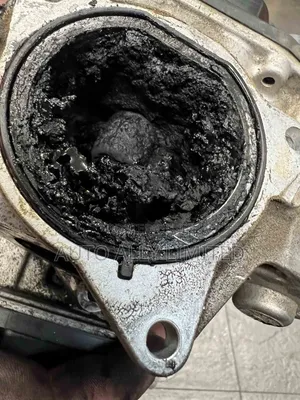 Adblue, Egr DPF Delete Service