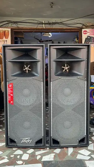 Peavey Sp 6 Quasi-three-way, Full-range Pa Speakers.
