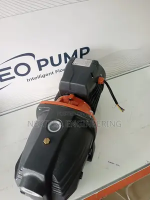 Leo Water Pump