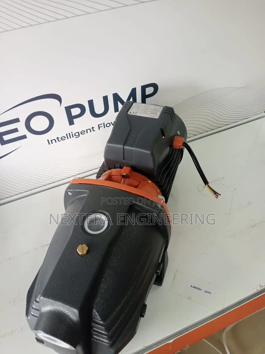 Leo Water Pump