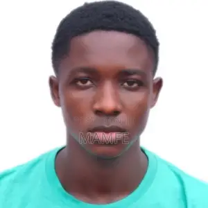 Construction Skilled Trade CV