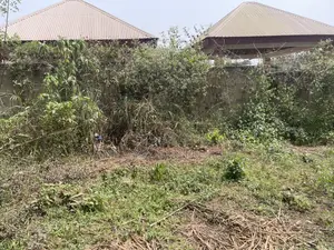 Plot of Land