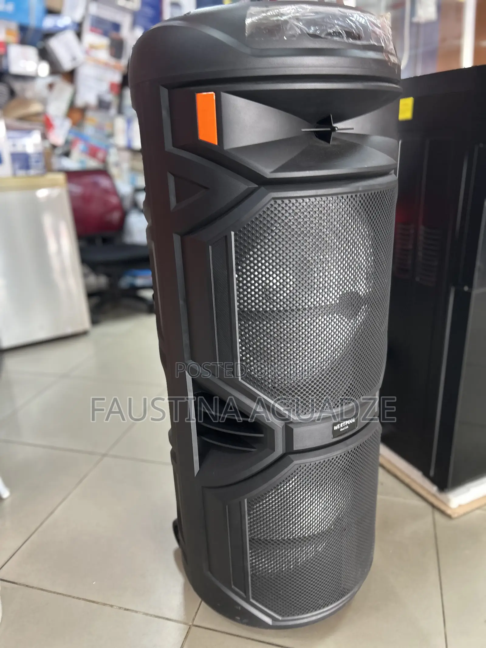 Westpool Ws10100 Rechargeable Speaker