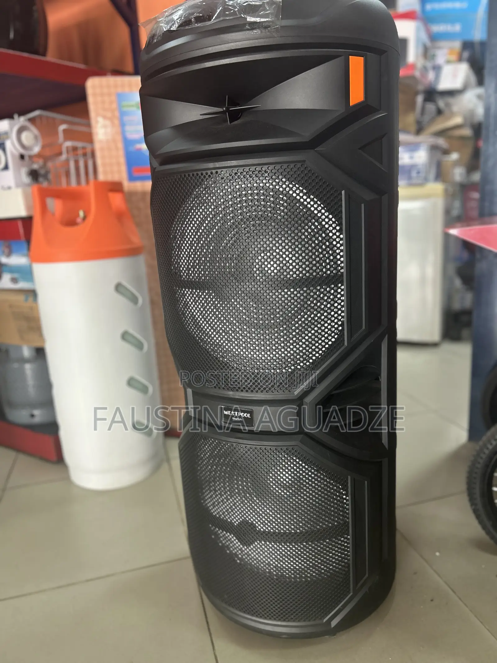 Westpool Ws10100 Rechargeable Speaker