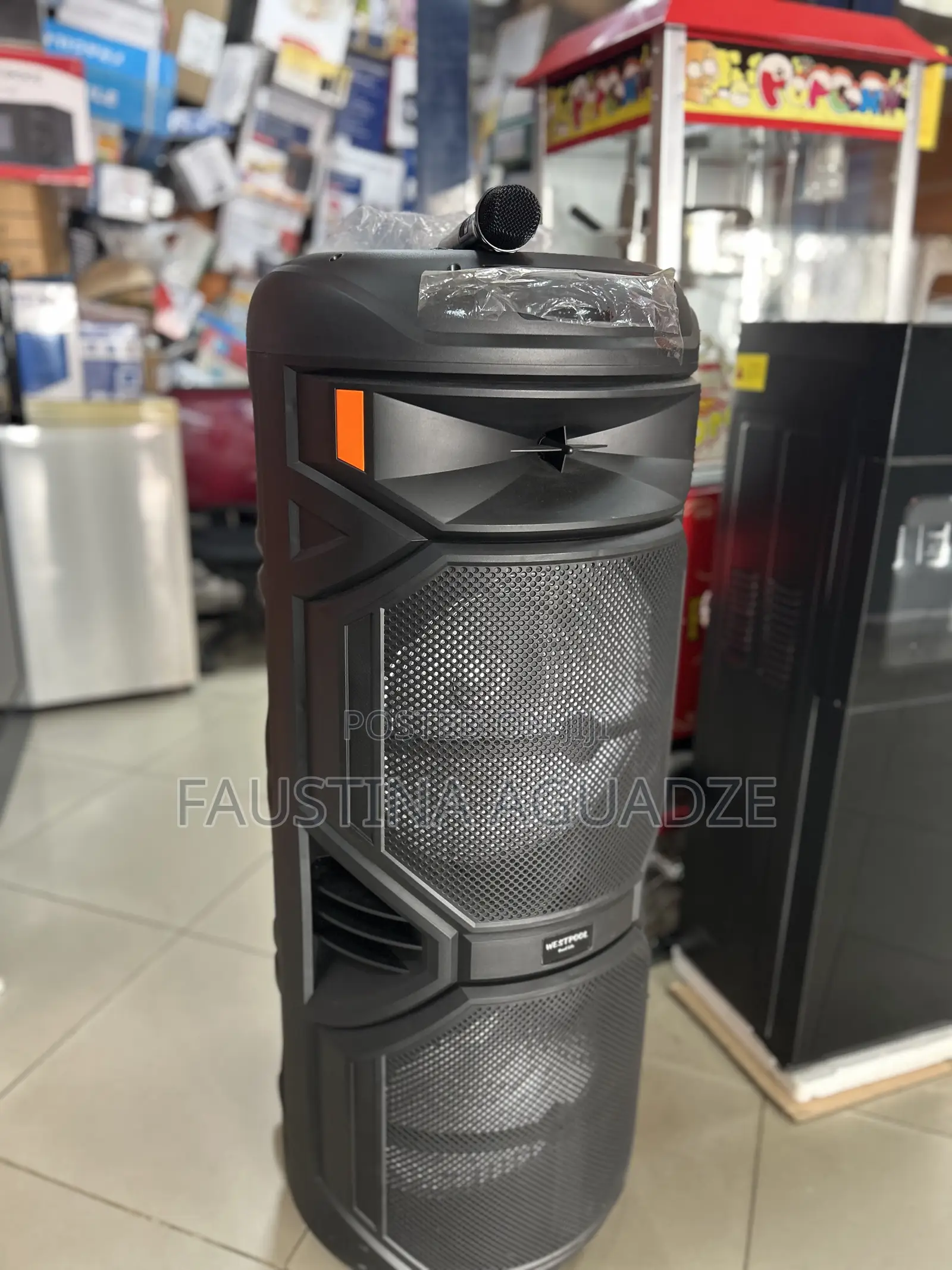 Westpool Ws10100 Rechargeable Speaker