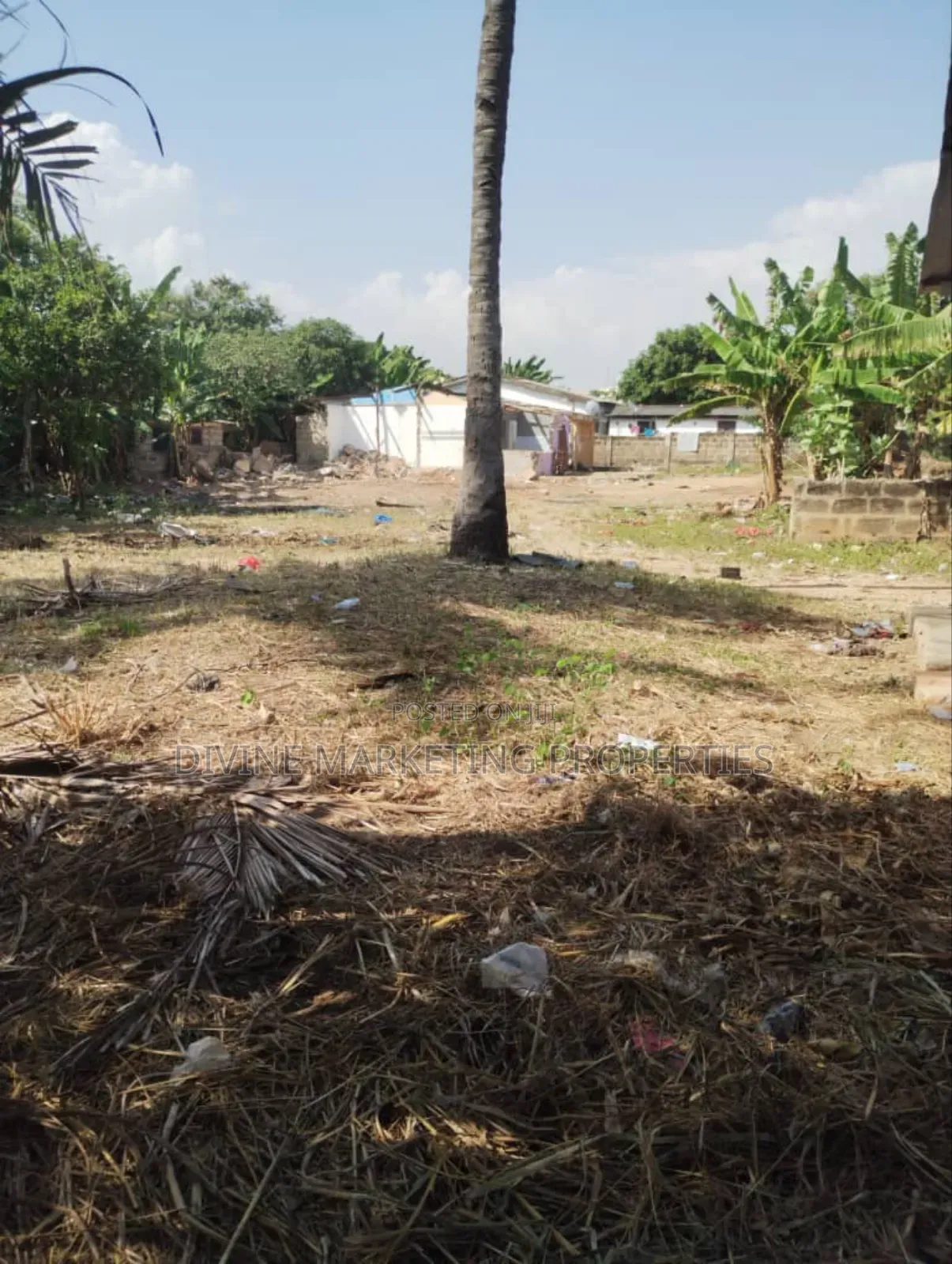 Titled 4 Plots at Owusu Ansah Oyarifa Adenta Municipal Accra