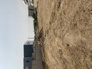 One Plot for Sale Size 70/100