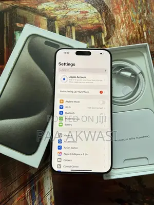 Apple iPhone 15 Pro Max 256 GB Silver