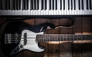 Bassist and Keyboardist