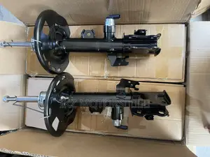 Lexus Rx350 Front Shocks