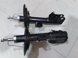 Toyota Rav4 2018/23  Front Shock Absorber Pair