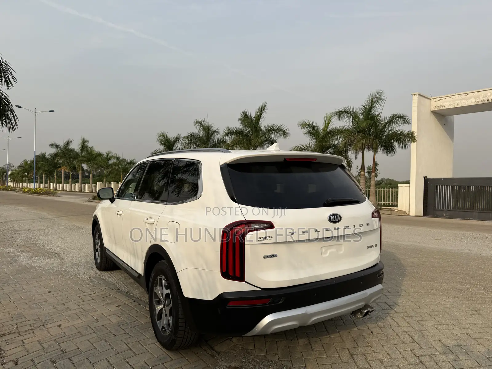 Kia Telluride 3.8 AWD 2020 White