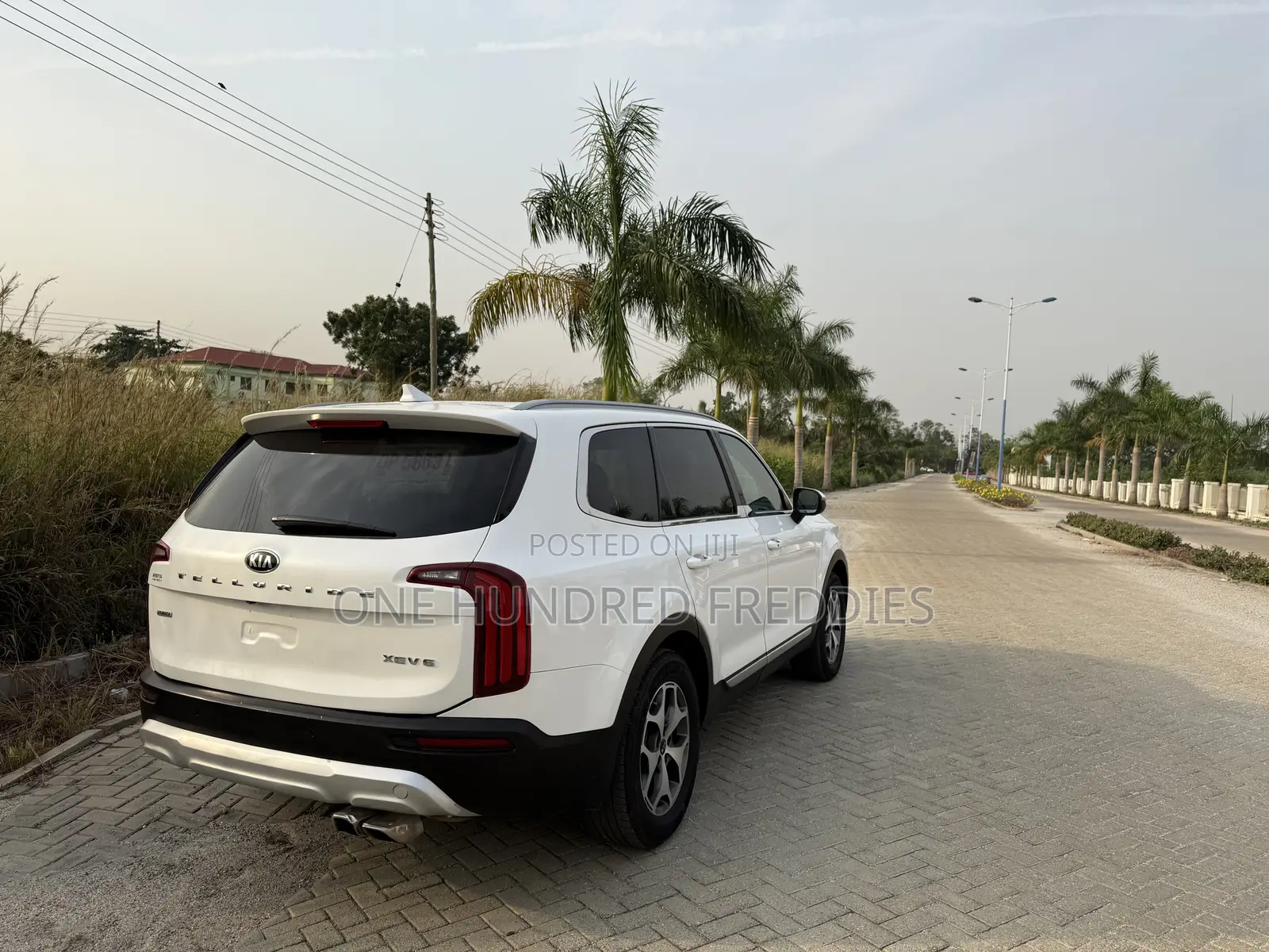 Kia Telluride 3.8 AWD 2020 White