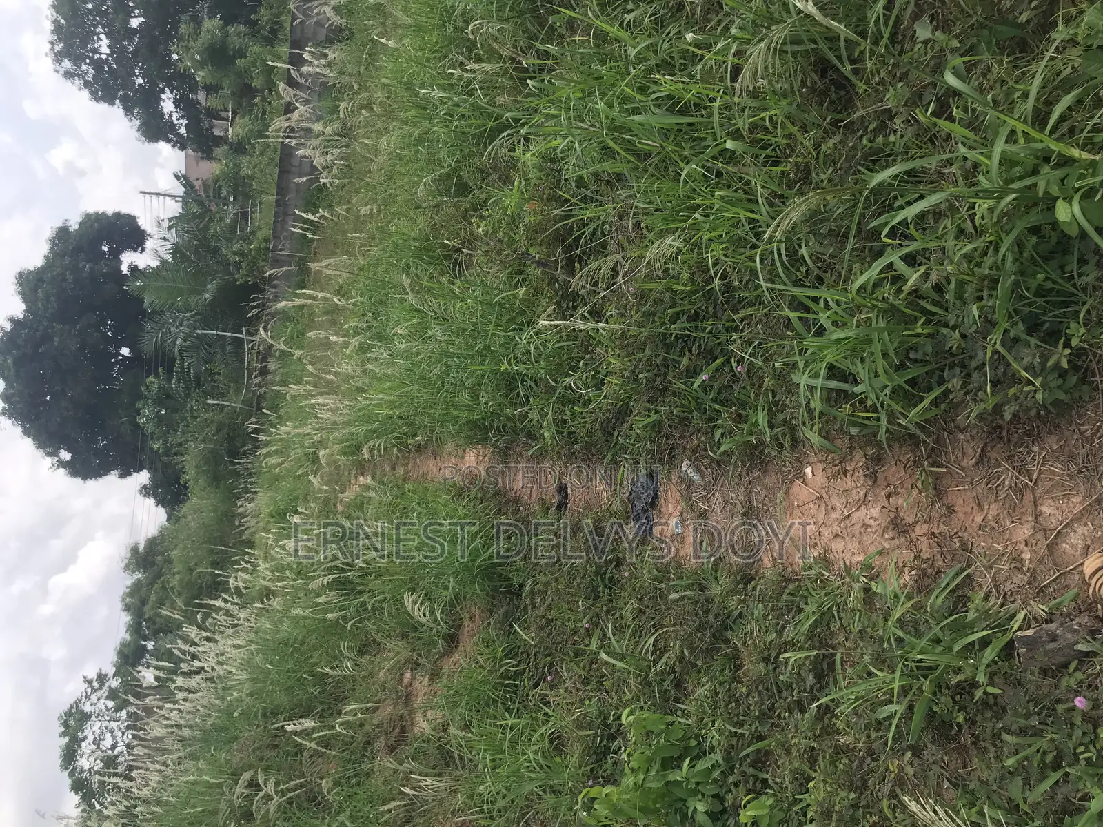 Titled Land for Sale Teiman