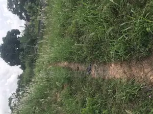 Titled Land for Sale Teiman