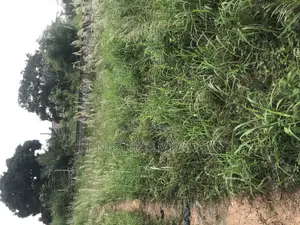 Titled Land for Sale Teiman