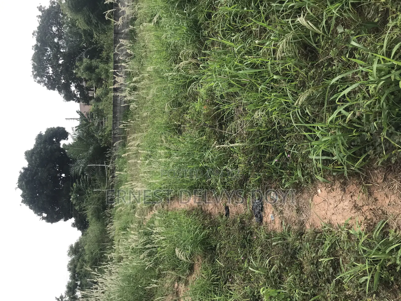 Titled Land for Sale Teiman