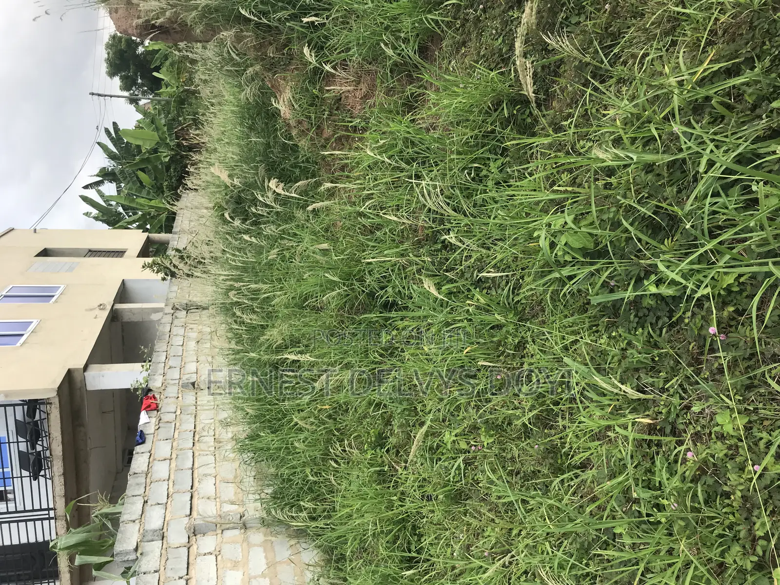 Titled Land for Sale Teiman