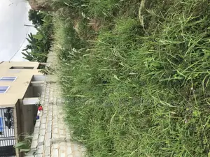 Titled Land for Sale Teiman