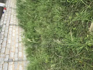 Titled Land for Sale Teiman