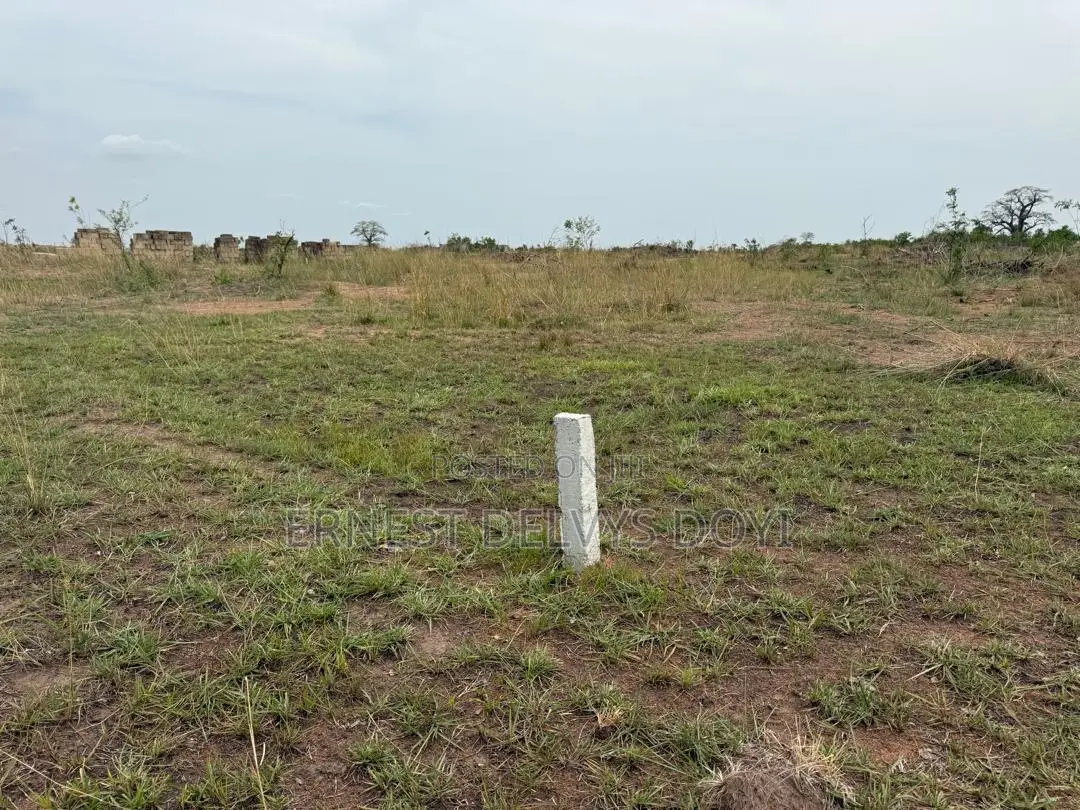 Titled Lands for Sale at Ayikumah - Sasabi