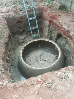 Biogas Digester Wastewater Filtration Treatment System Construction