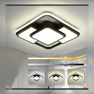 Modern Led Ceiling Light