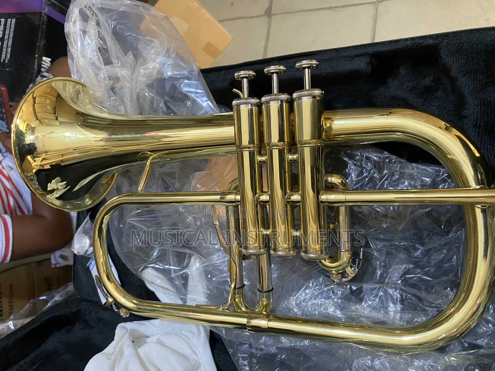 Flugelhorn (Female)