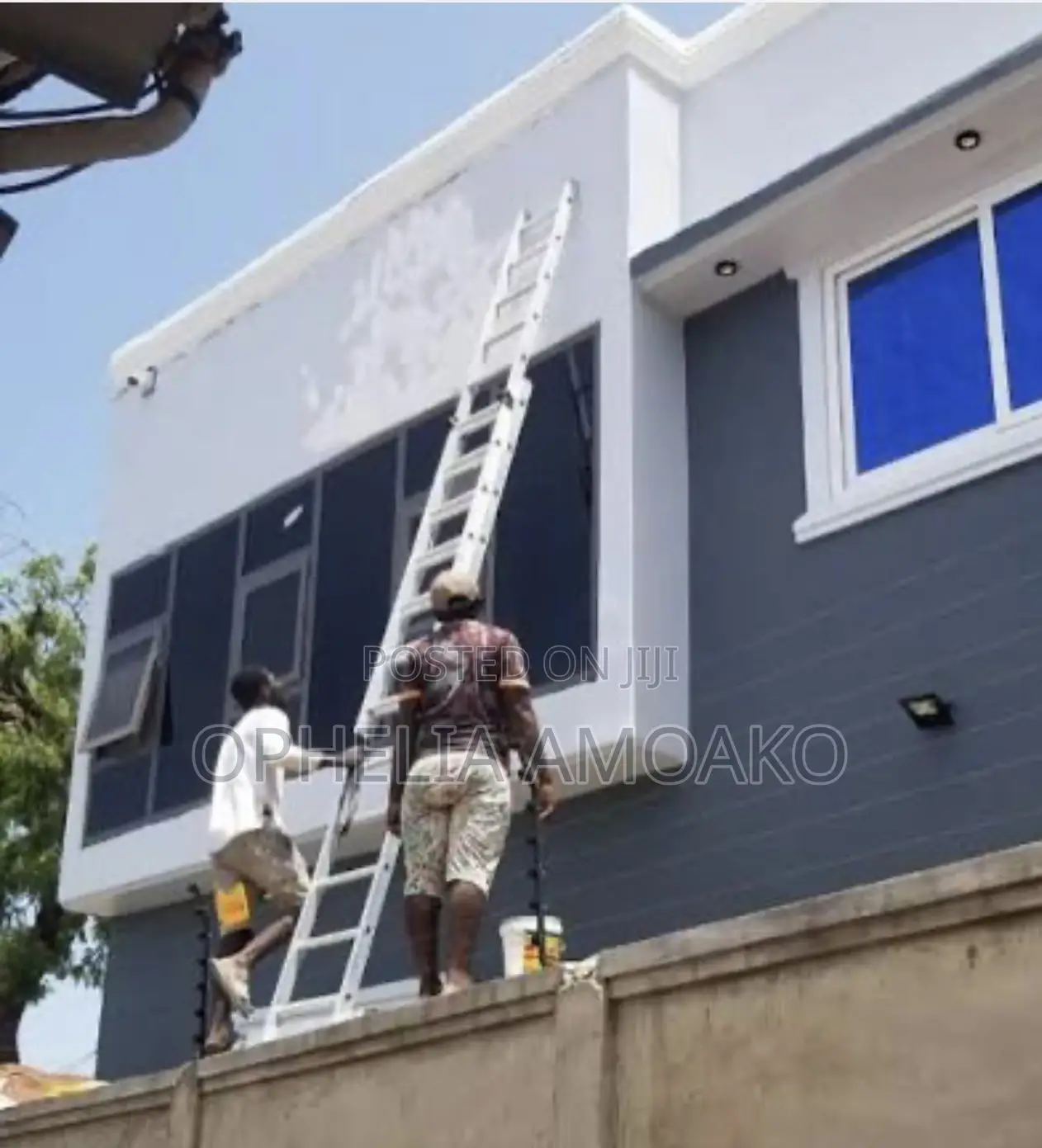 Painter, Very Professional