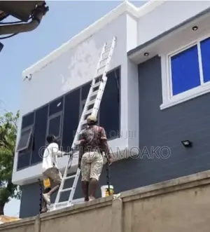 Painter, Very Professional