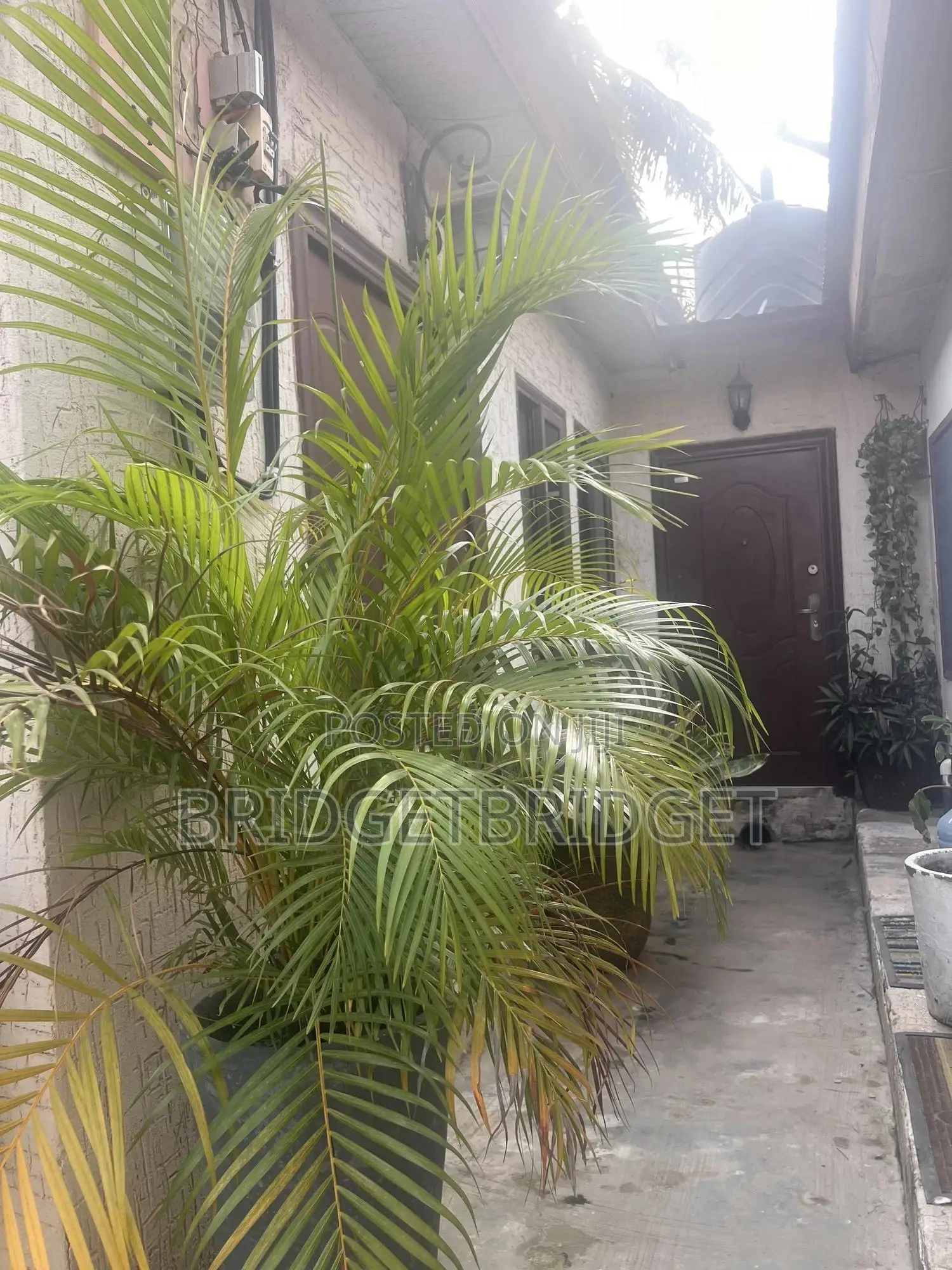 2bdrm Apartment in Las Palmas Area for rent