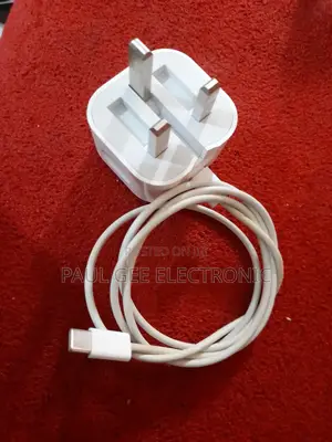 iPhone 15 Original Charger