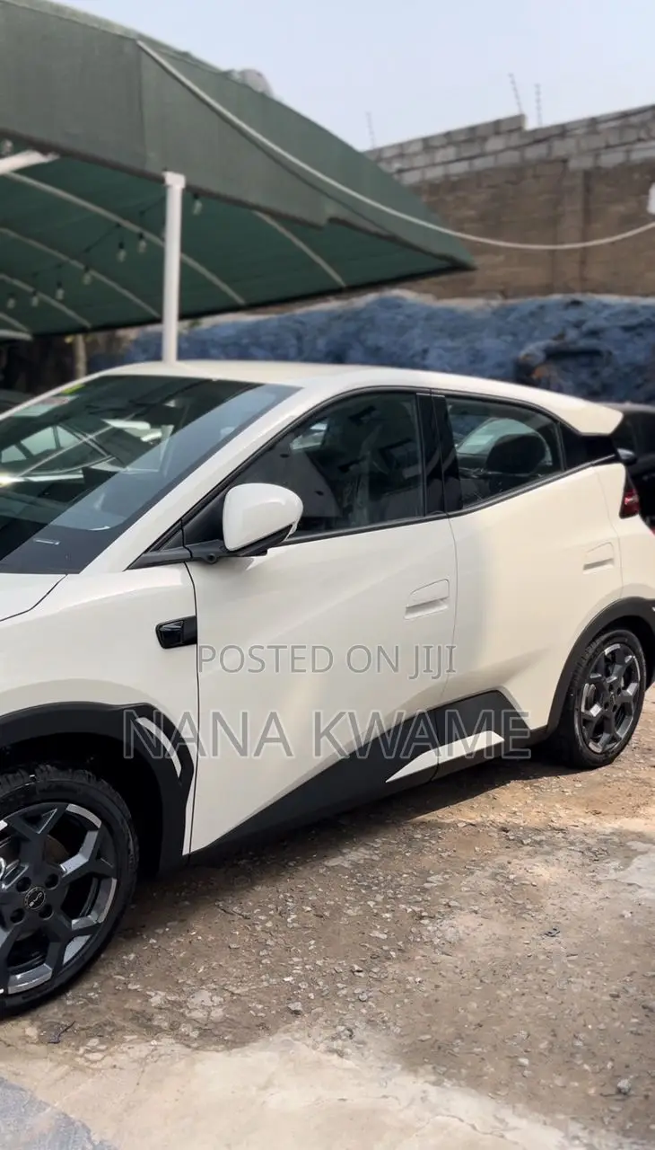 New BYD Seagull 2025 White