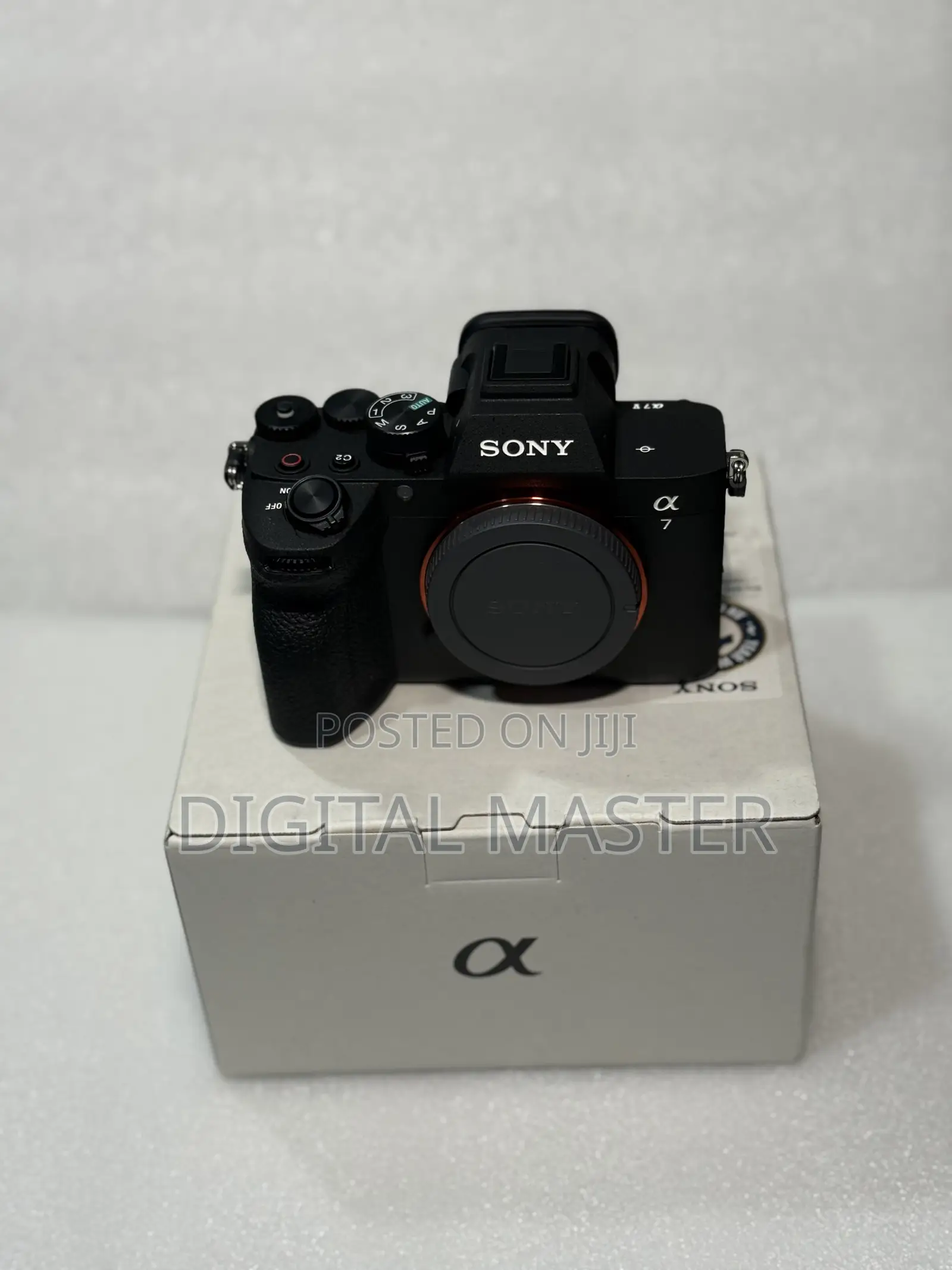 Sony A7 v Mirrorless Camera