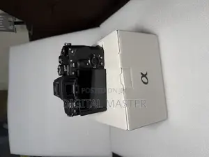Sony A7 v Mirrorless Camera